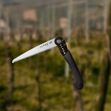 uploads/images/Bernina 6195