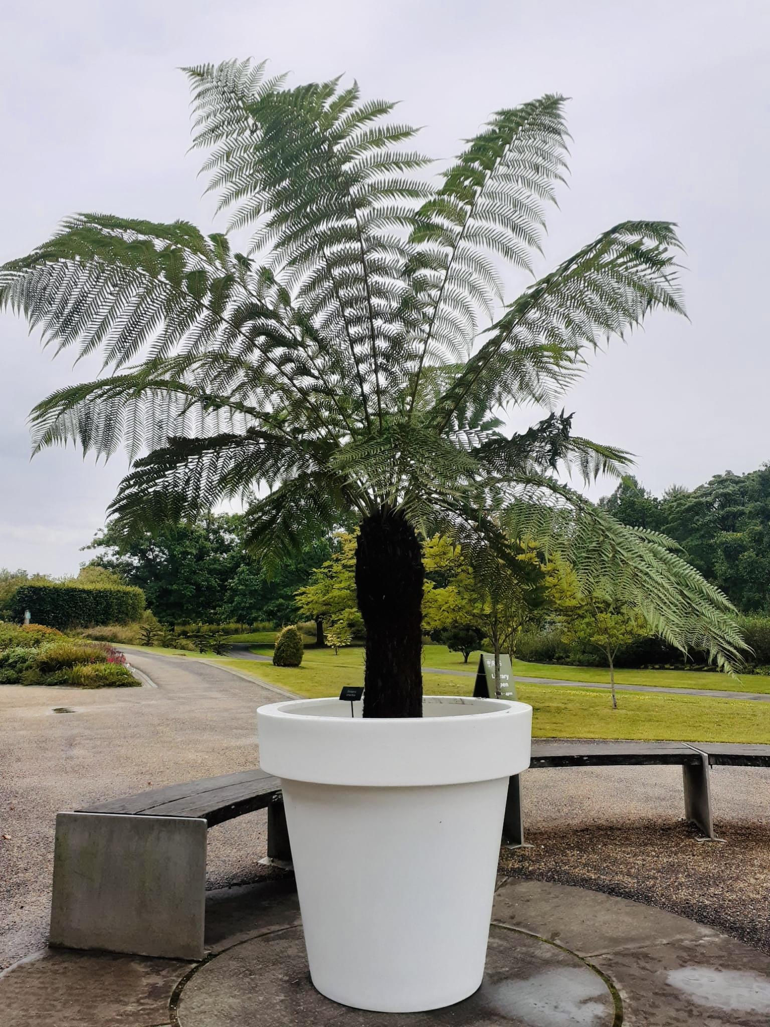 uploads/images/Biggie In Harlow 