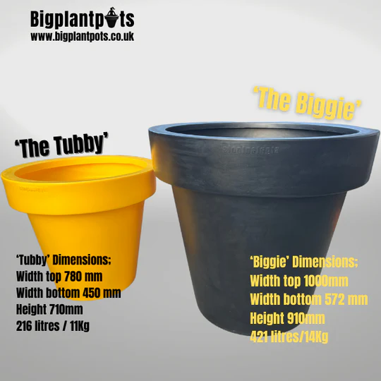 uploads/images/Biggie_tubby_joke_1_540x