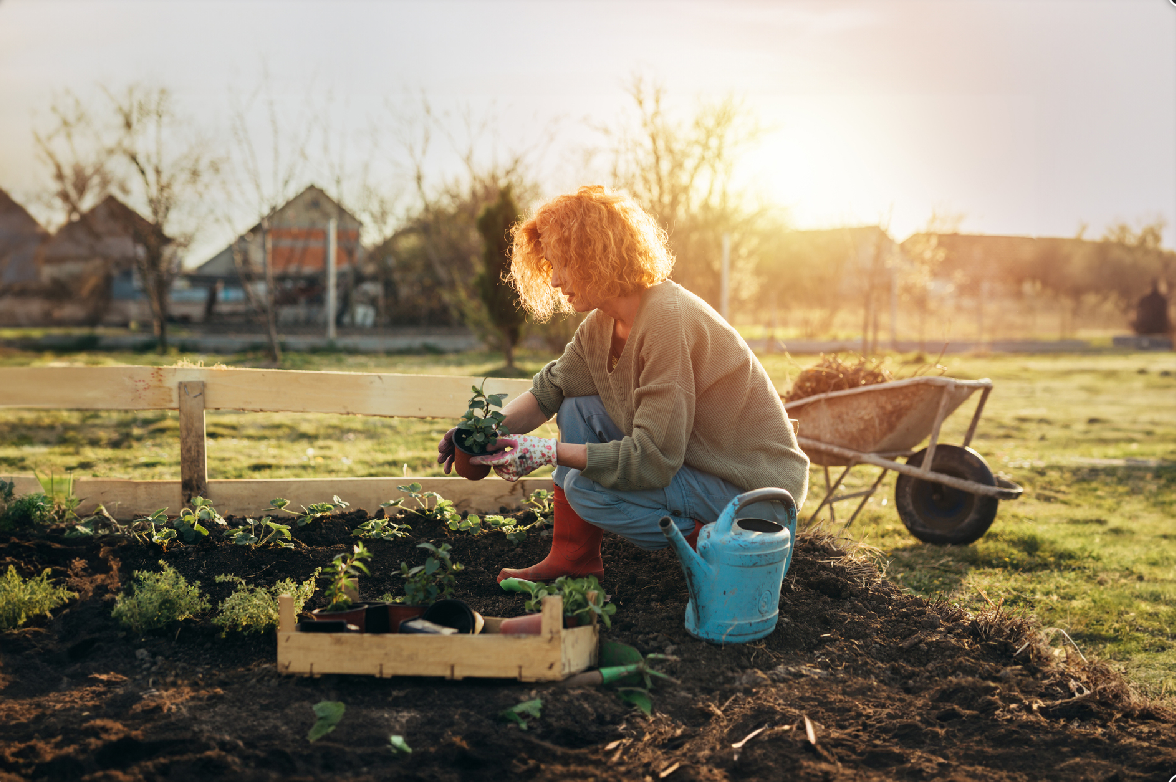 uploads/images/Biobloom Background