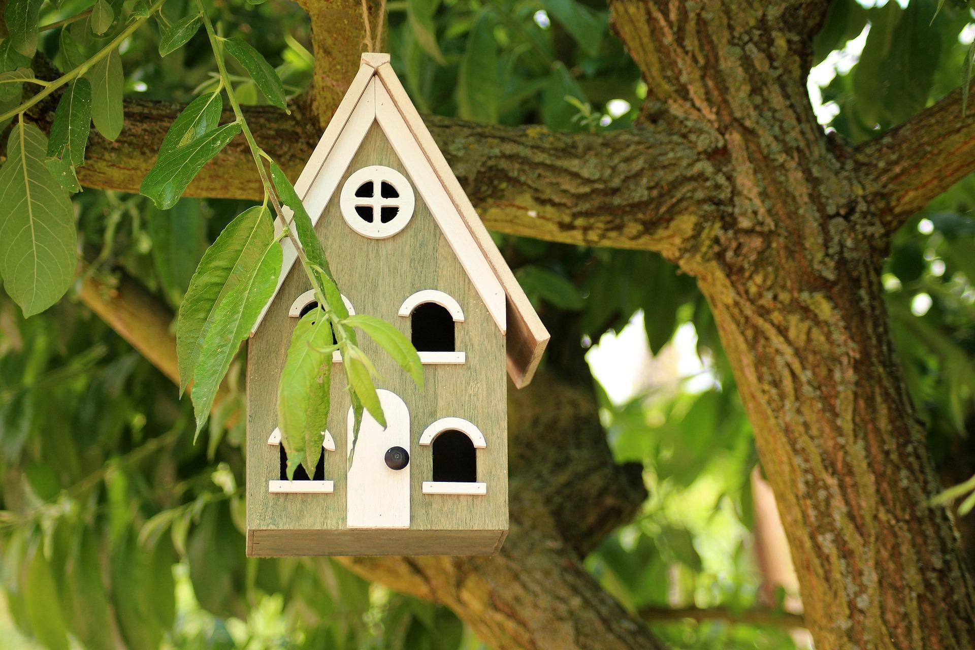 uploads/images/Birdhouse 3395575_1920
