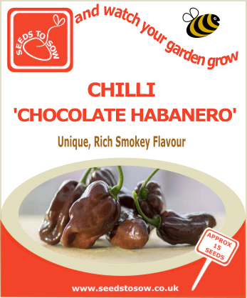 uploads/images/Bitmap_chocolate_habanero_347x