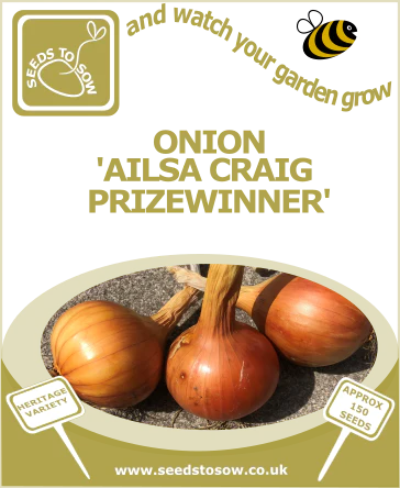 uploads/images/Bitmaponionailsacraigprizewinner_364x