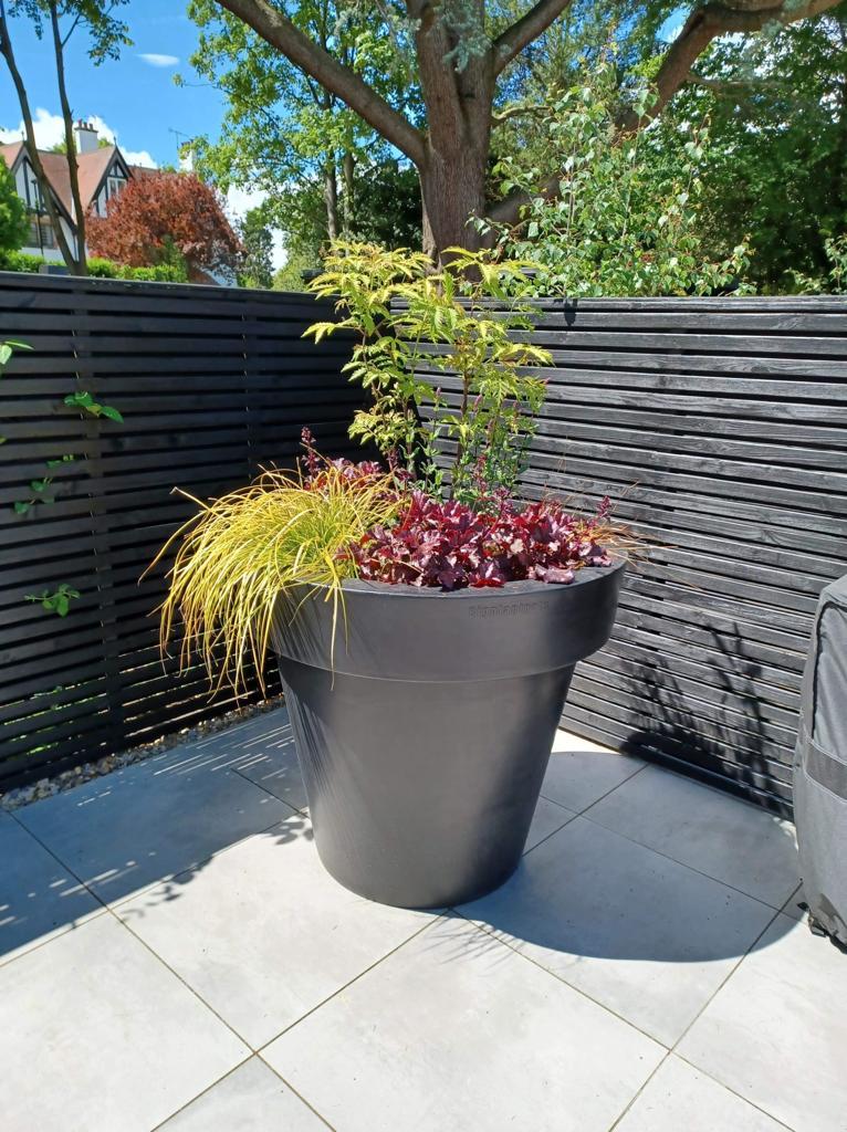 uploads/images/Black Biggie