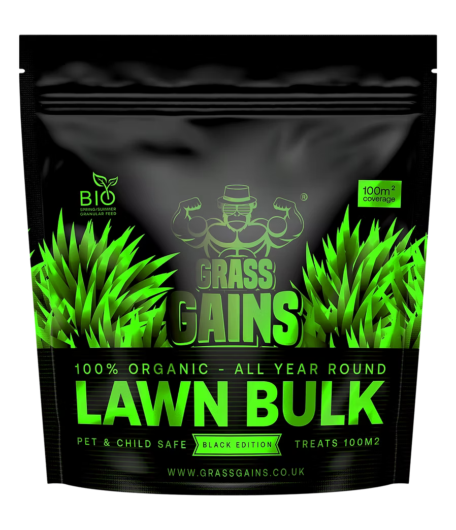 uploads/images/Black Edition Png