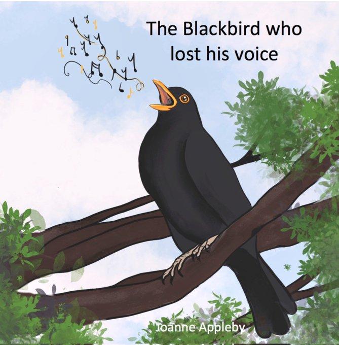 uploads/images/Blackbird