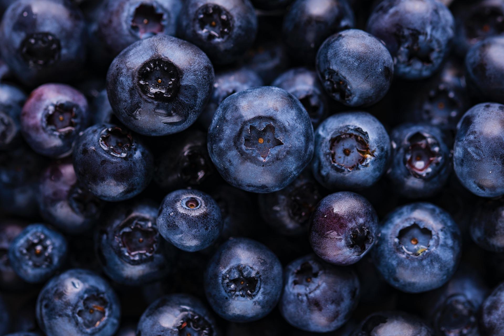 uploads/images/Blueberries 5955833_1920