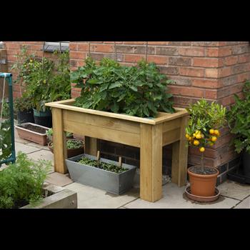 uploads/images/Bol 2