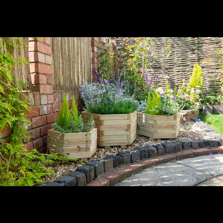 uploads/images/Bol 6