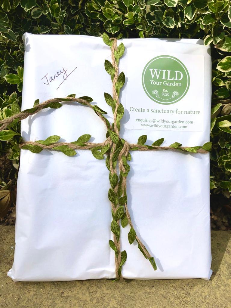 uploads/images/Book2