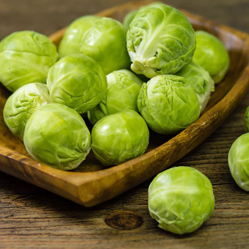 uploads/images/Brussels_6_493x