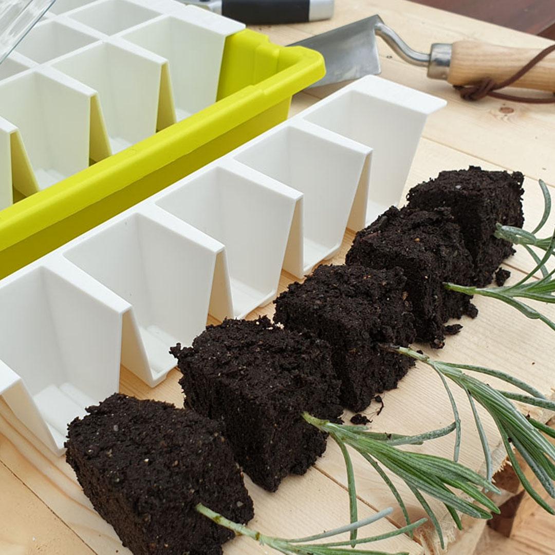 uploads/images/Bustaseed Twin Kit 2