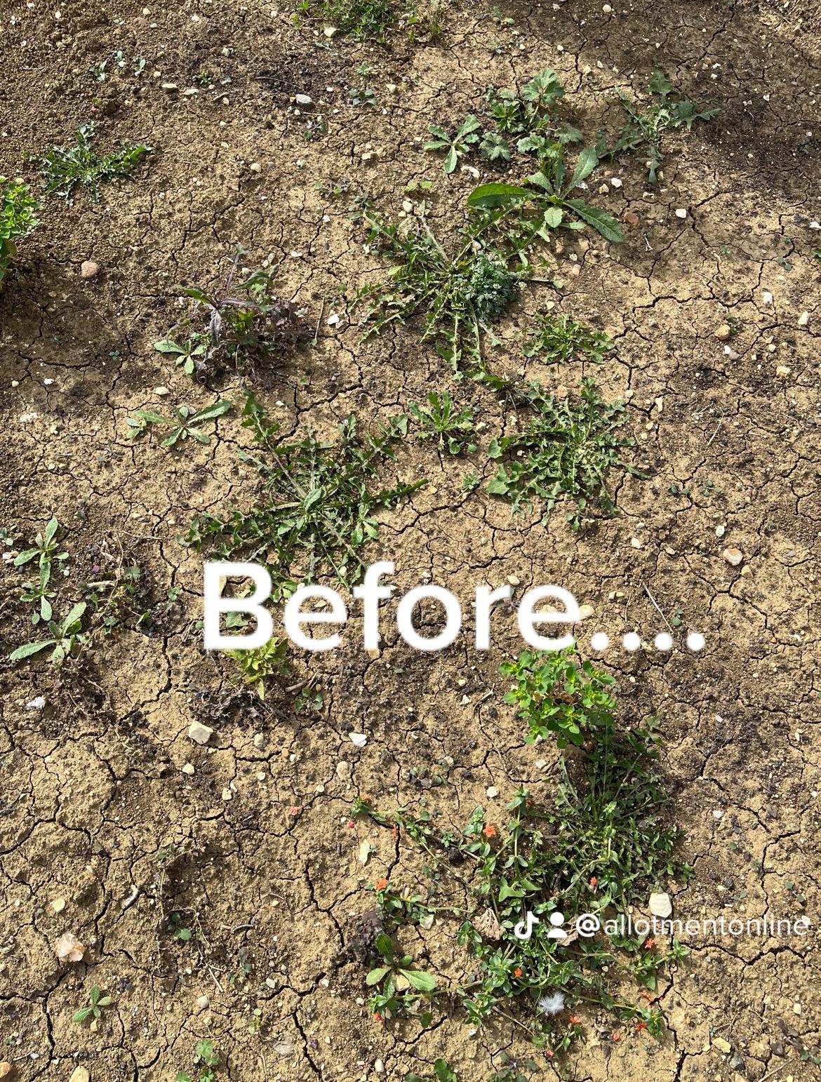 uploads/images/Before