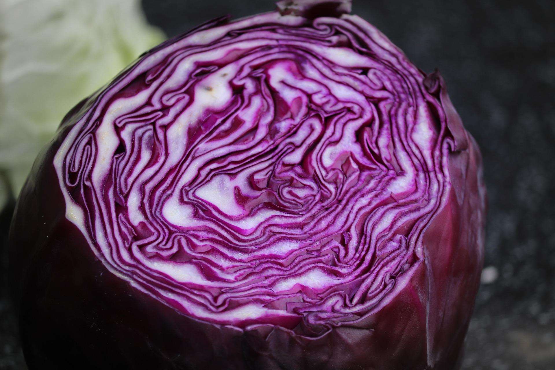 cabbage 5968277_1920
