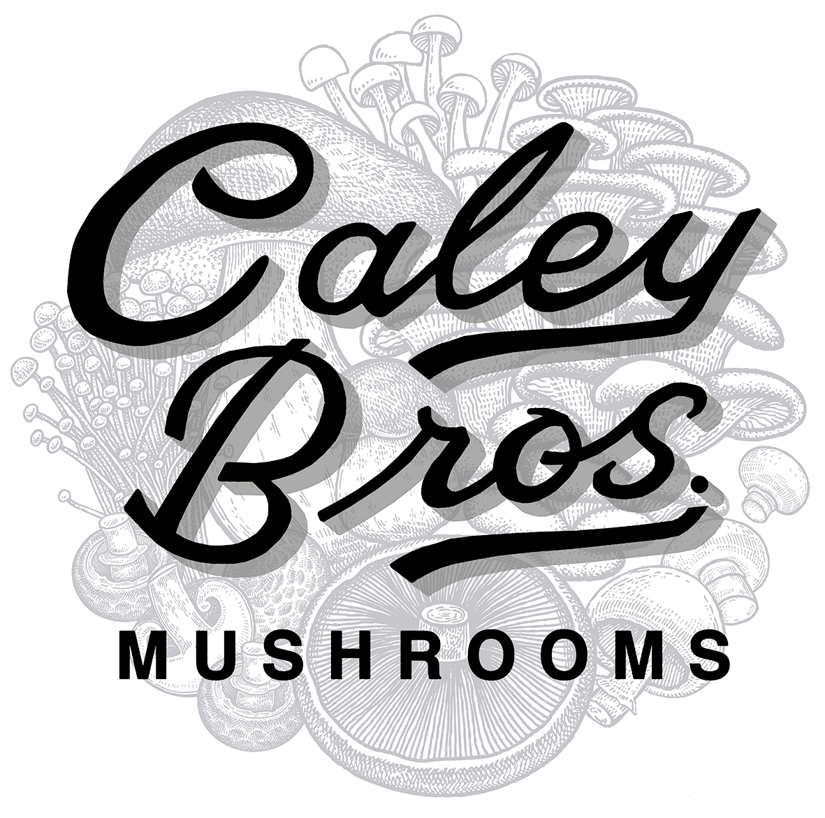 uploads/images/Caley Bros Logo Rondal Black