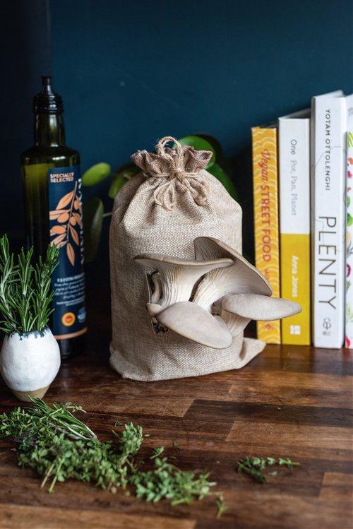 uploads/images/Caleymixed_20