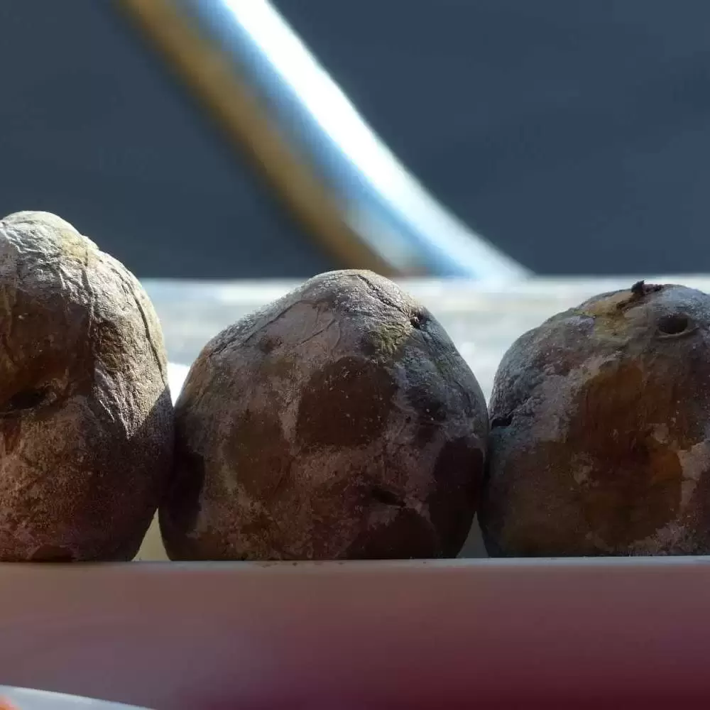 uploads/images/Canarian