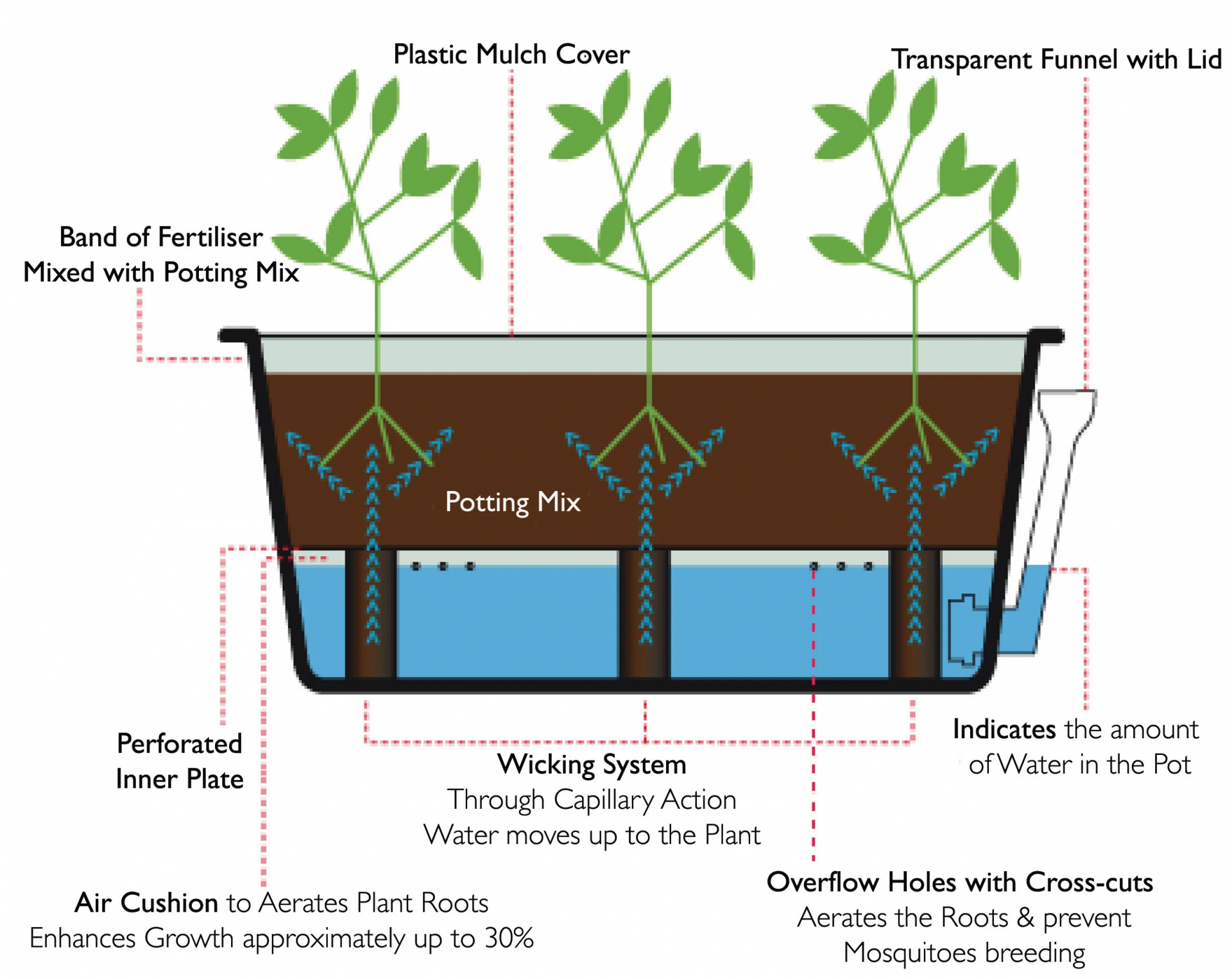 uploads/images/Capillary_performs