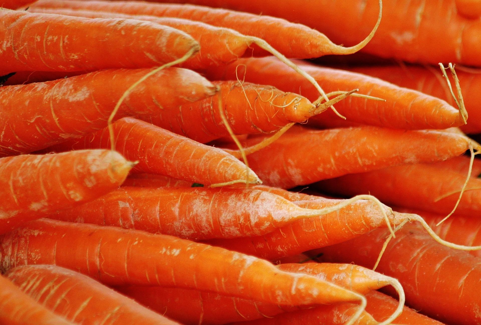 uploads/images/Carrots 382686_1920