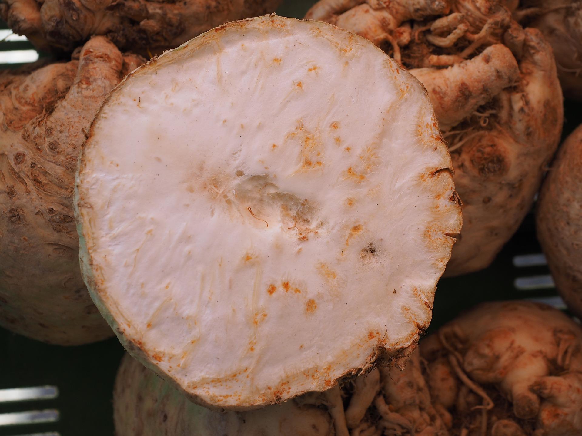 uploads/images/Celery 499081_1920