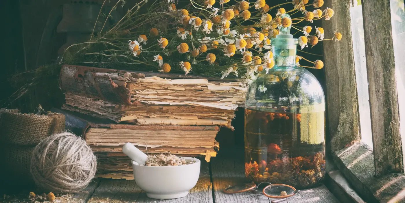 uploads/images/Cha1_blog_ss1136827793