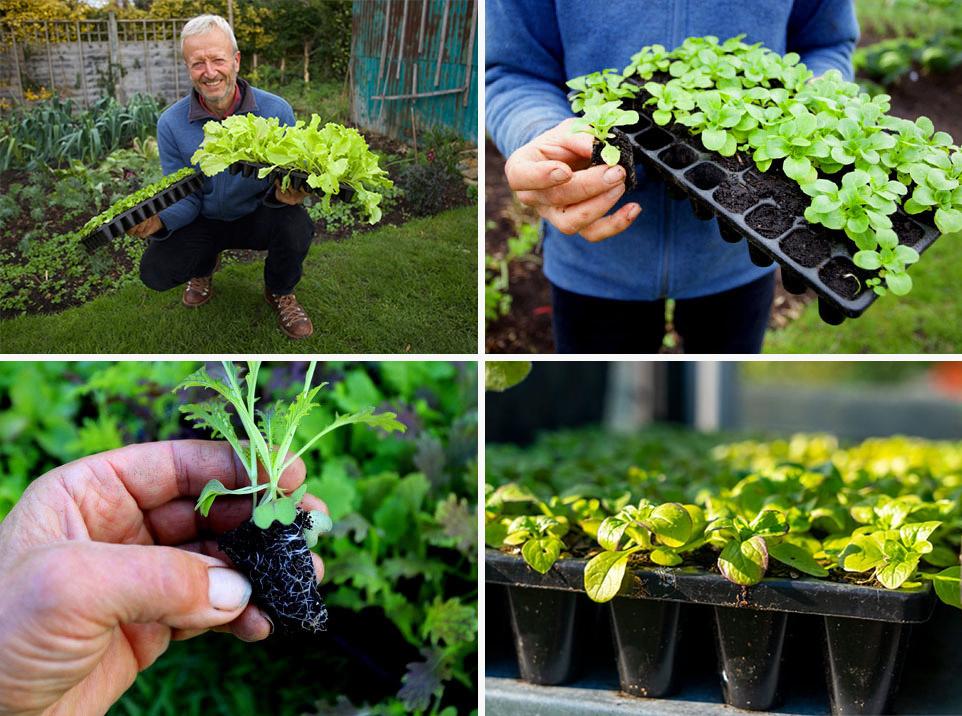 uploads/images/Charles Dowding3 Container Wise