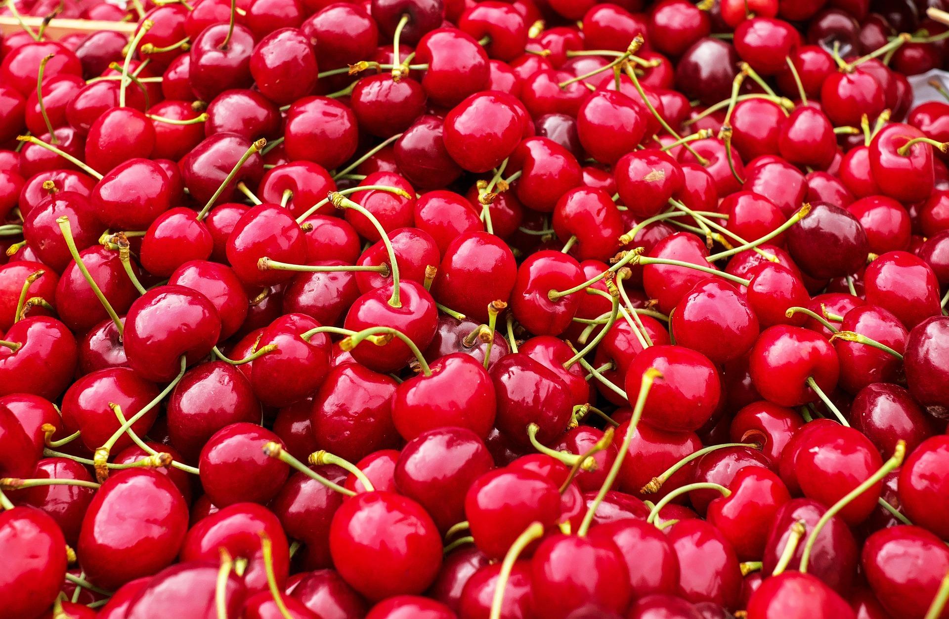 uploads/images/Cherries 1465801_1920