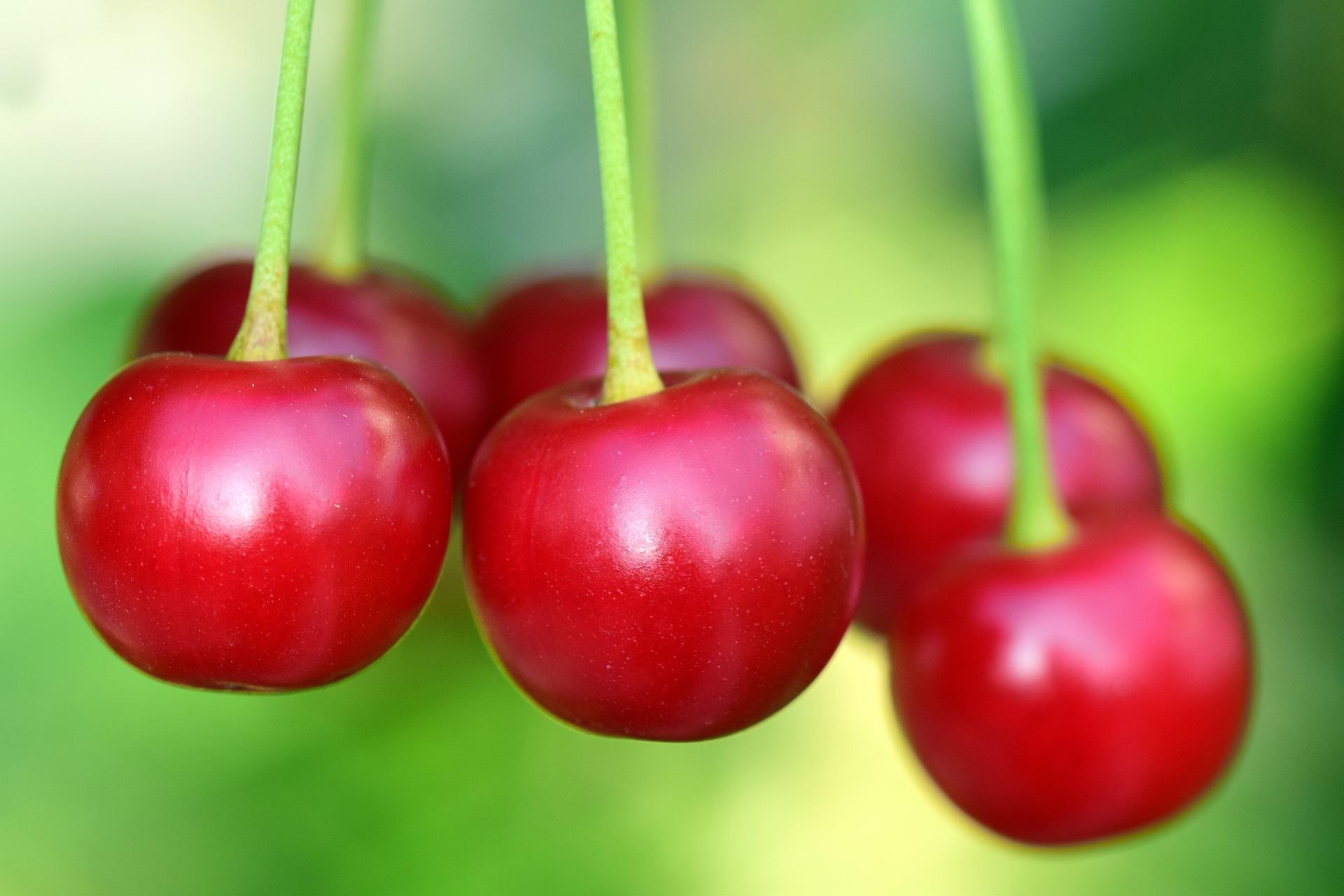 uploads/images/Cherries 3477927_1920