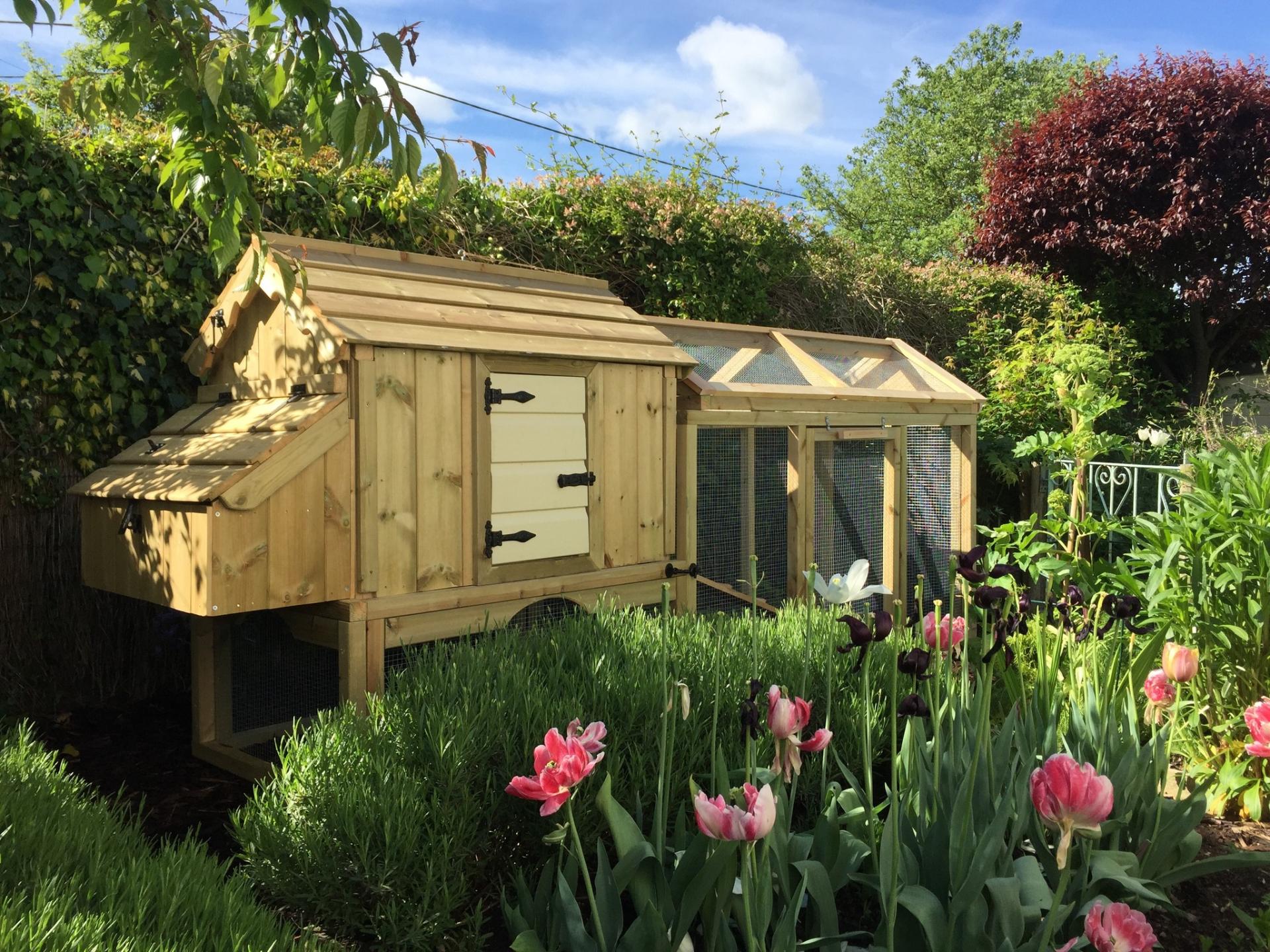 uploads/images/Chick House Cc