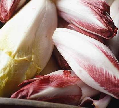 uploads/images/Chicory 4c575a1