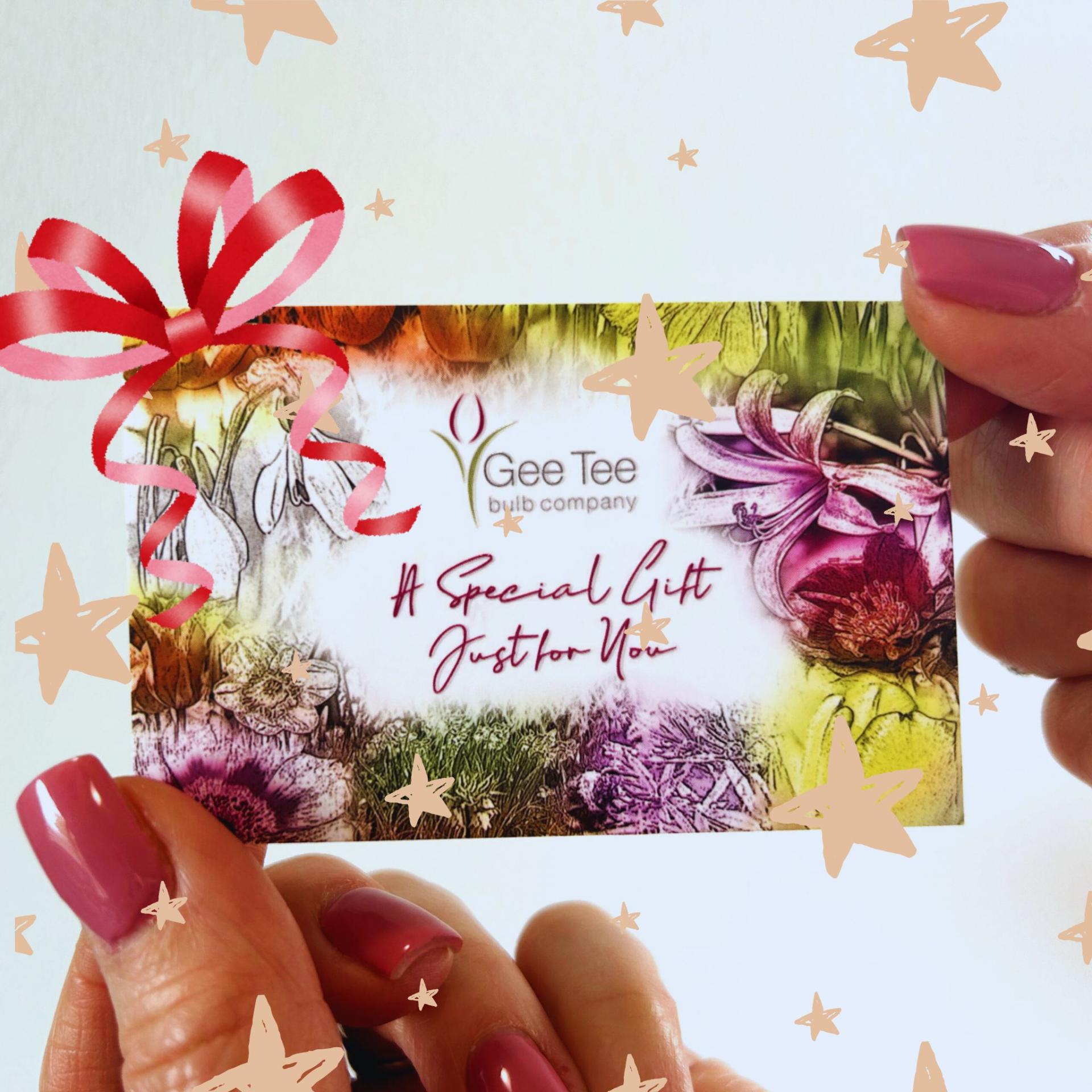 uploads/images/Christmas Gift Card 1 1