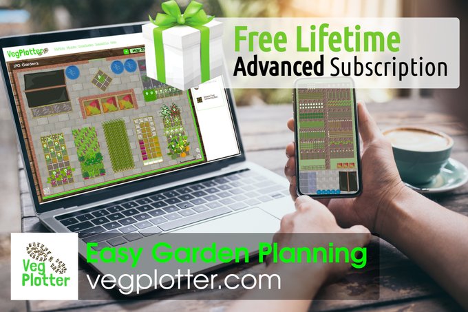 uploads/images/Ckaj4dx1 1.jpg_small