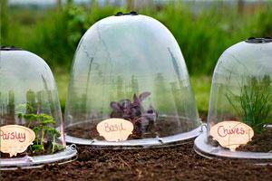 uploads/images/Cloches