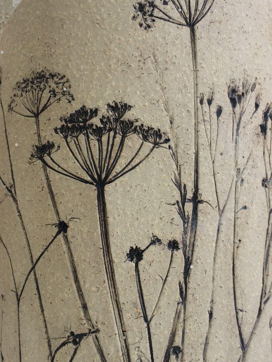 uploads/images/Close Up