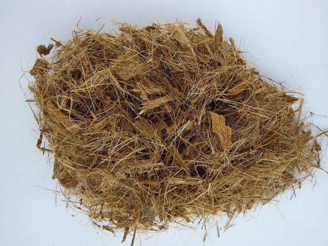 uploads/images/Coconut Fibre1