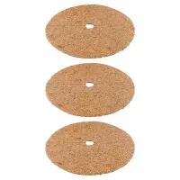 uploads/images/Coir Plant R6h9mb0mzch1l5pxtcq5zxfqdbner24ruocsnh3o40