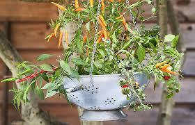 uploads/images/Colander