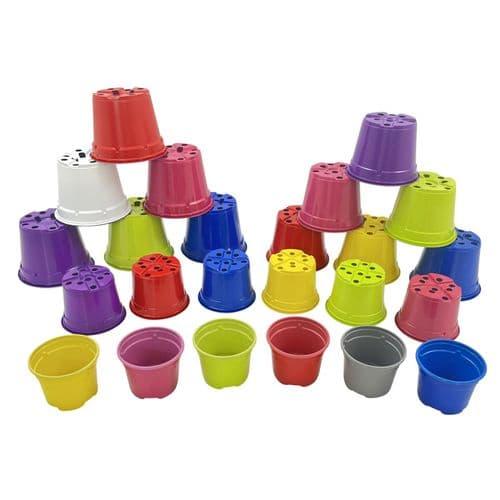 uploads/images/Coloured Plant Pots 418 C