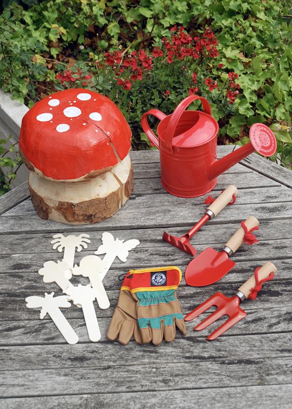 uploads/images/Competition Photo_p