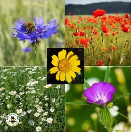 uploads/images/Composite