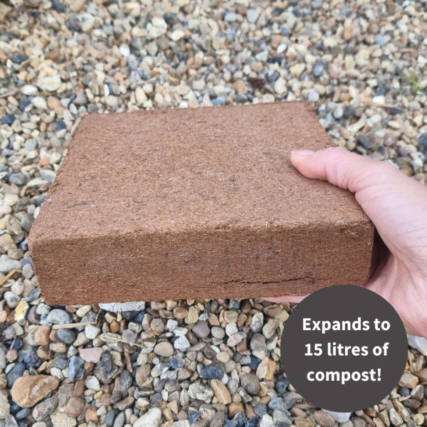 uploads/images/Compost 600x600