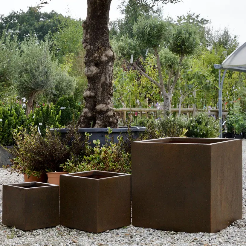 uploads/images/Corten Box from Brighton Planters