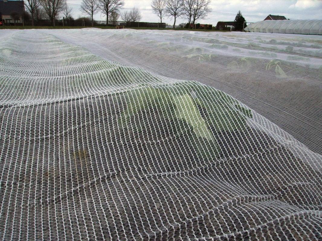 uploads/images/Cosytex_1_orig