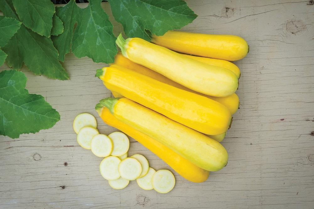 uploads/images/Cour_buttersti_s63631