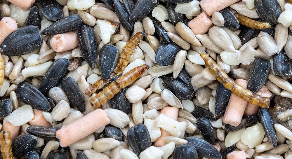 uploads/images/D70cabc0be6ba446d013 Product 10a89154291e5e2b92b6f95f0474e168