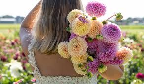 uploads/images/Dalias Woman