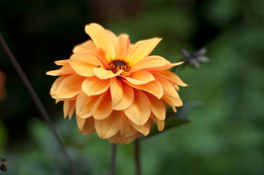 uploads/images/David Howard 04 Copy