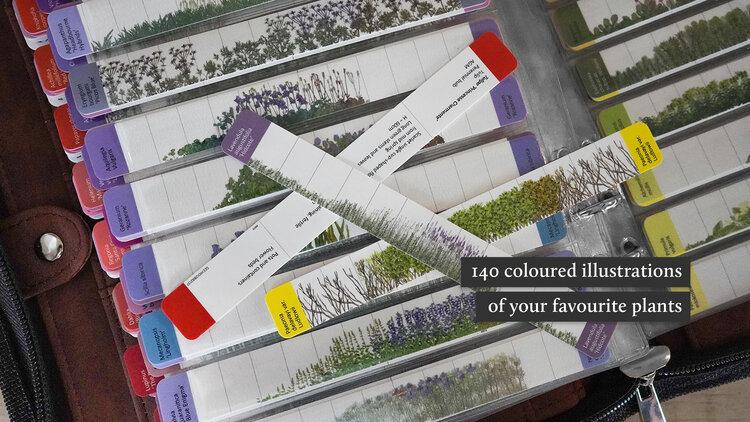 uploads/images/Detailscopy