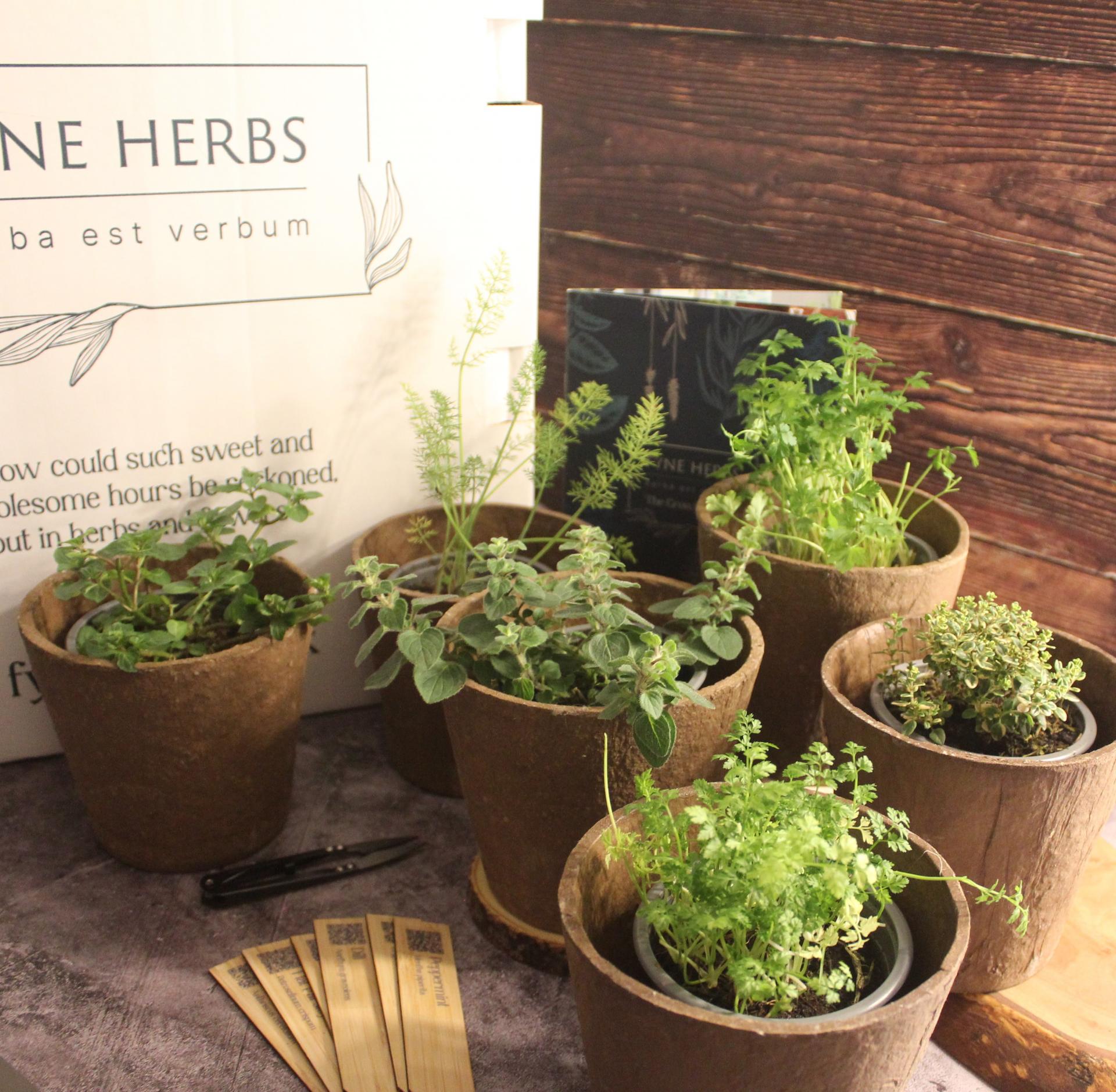 uploads/images/Detox3