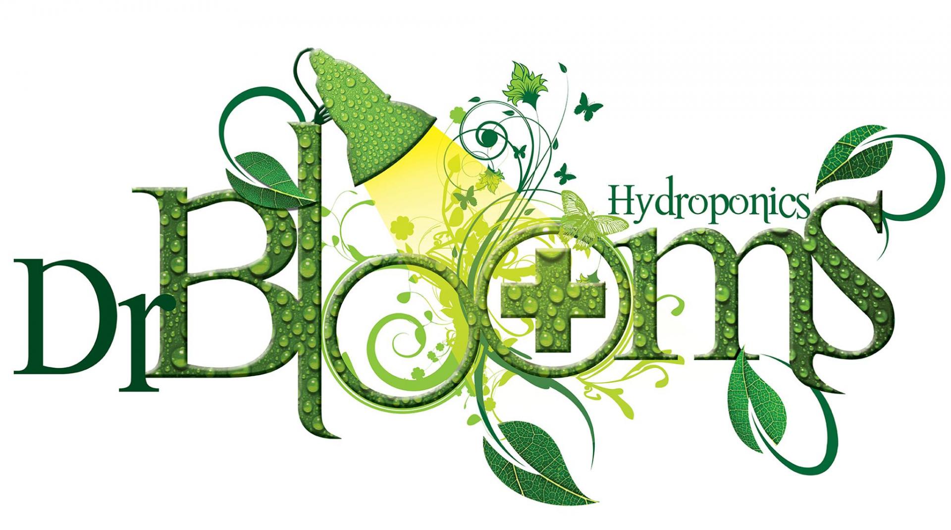 uploads/images/Doctor Blooms Logo